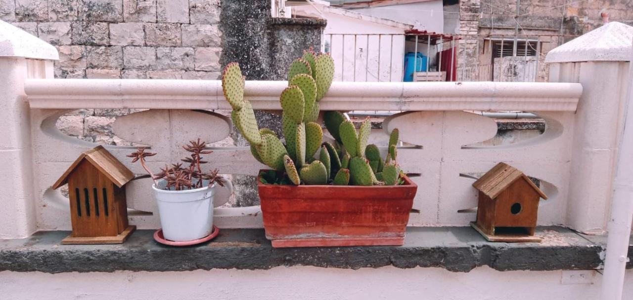 Tappa A Bitonto Apartman Kültér fotó